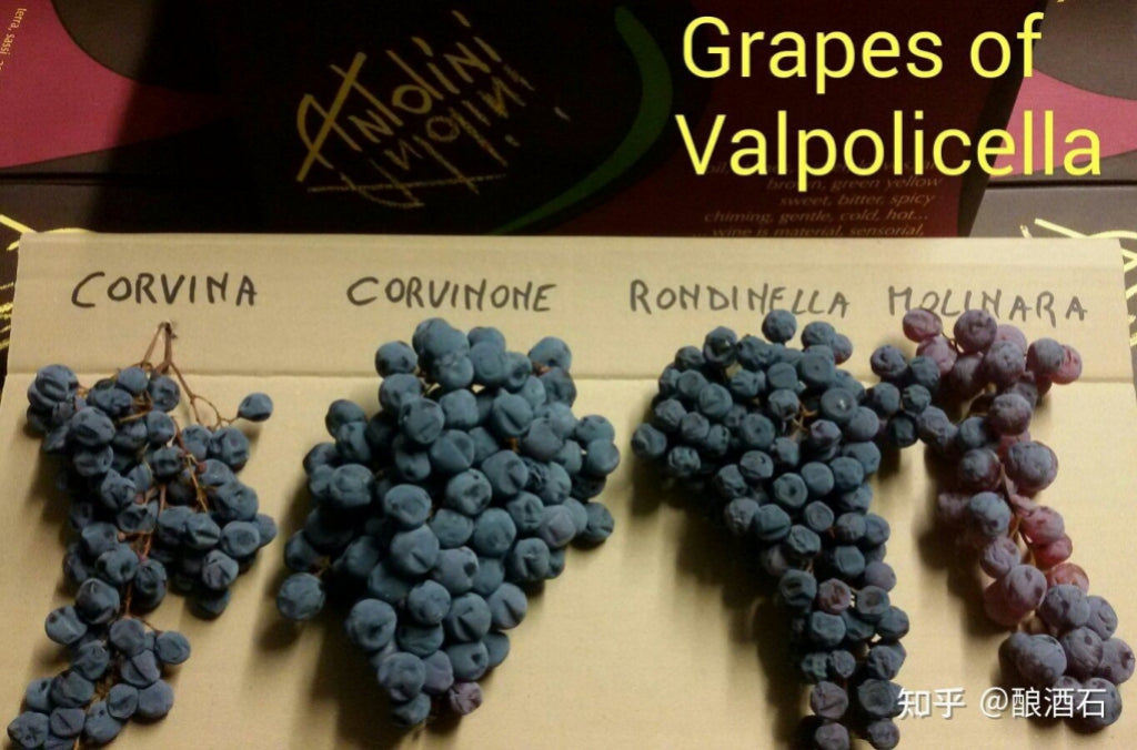 Monte Santoccio RIPASSO︱Valpolicella Classico Superiore Ripasso DOC 2009_Monte Santoccio_Red wine_Corvina/Rondinella/Molinara/ Corvinone