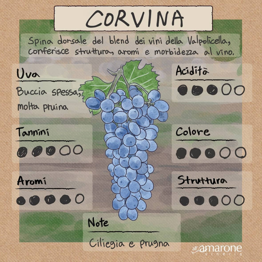 Famiglia Pasqua VALPOLICELLA SUPERIORE RIPASSO DOC_Pasqua_Red wine_Corvina / Rondinella / Corvinone / Negrala