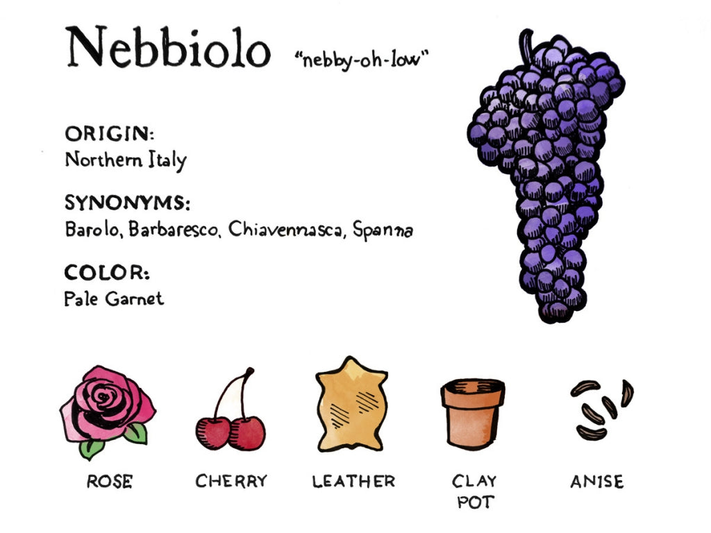 Carlo Giacosa Barbaresco︱NARIN Barbaresco DOCG_Carlo Giacosa_Red wine_Nebbiolo