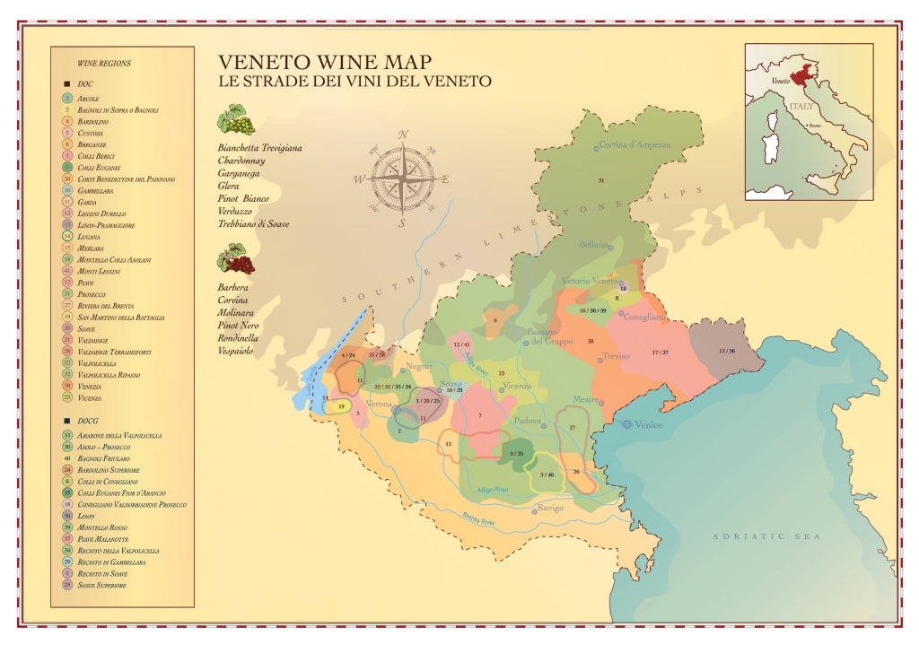 Istà Pinot Grigio delle Venezie DOP_Tinazzi - CA′de′Rocchi_White wine_Pinot Gris