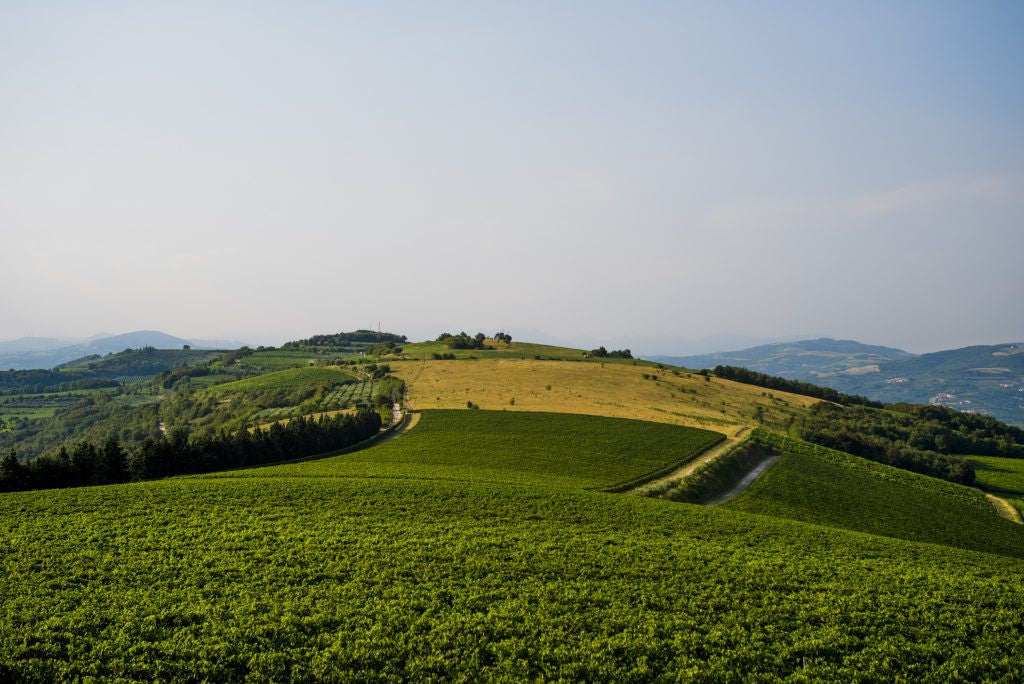 Famiglia Pasqua VALPOLICELLA SUPERIORE RIPASSO DOC_Pasqua_Red wine_Corvina / Rondinella / Corvinone / Negrala