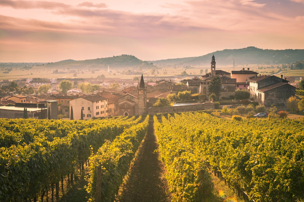 Rive Della Chiesa Flori Dolce Spumante_Rive Della Chiesa_Sparkling wine_Glera/ Pinot Noir