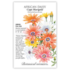African Daisy Cape Marigold Seed Pkt