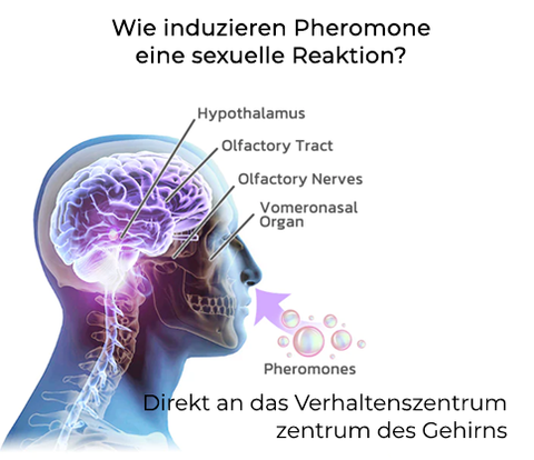 Fivfivgo™ Maskuline Magnetismus-Seife