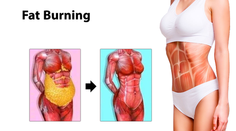 Fat burning 448b3c19 2b3e 426a bcbe