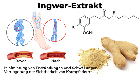 Fivfivgo™ VeinLess Kräuterpflaster mit sofortiger Linderung