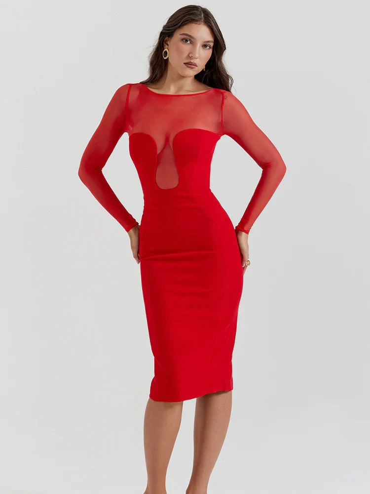 Long Sleeve Mesh Bodycon Midi Dress