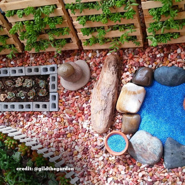 Mini fairy garden pallet plants