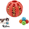 Jimmy™: La Balle interactive longue durée pour chiens