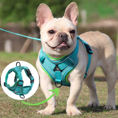 harnais petit chien  Joey™ – chiens parfait