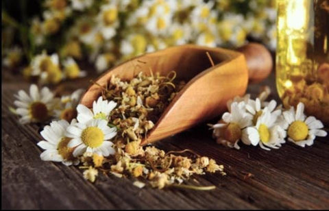 Chamomile Flower