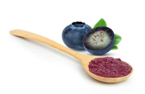 Bilberry Powder