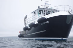 Mv Huskyan