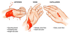 Types of Bleeding