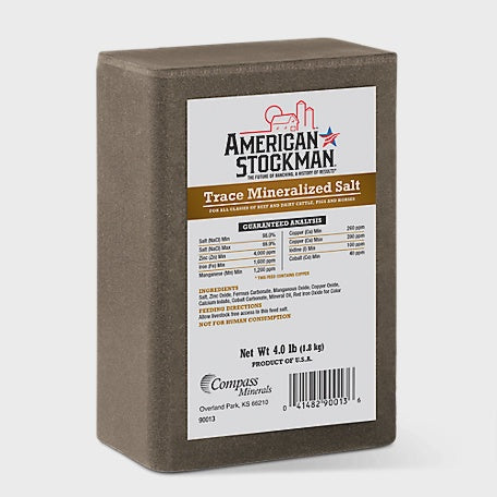 Trace Mineral Salt Brick 4#