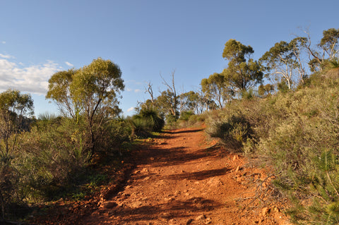 Explore the 4WD track at Julimar State Forest.