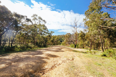 4wd track in Mount Disappointment in a white cloud & blue sky.