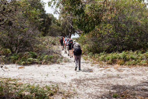 Hiking is allowed through the bushland around Maria Island.