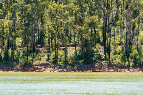 Camp around the lake at Waroona Dam.