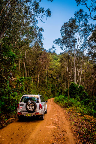 Gray Suzuki Circa 2017, small 4x4 at the Watagans National Park.