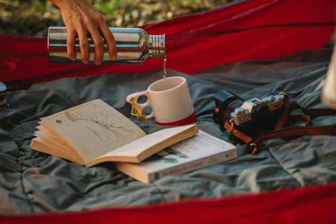 Purified water in a bottle on an adventure, surrounded by books & camera. 