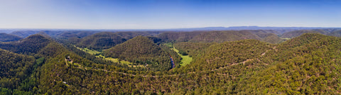 Drone view gum-tree woods along Colo river in Colo Heights, part of Blue mountains National Park. 