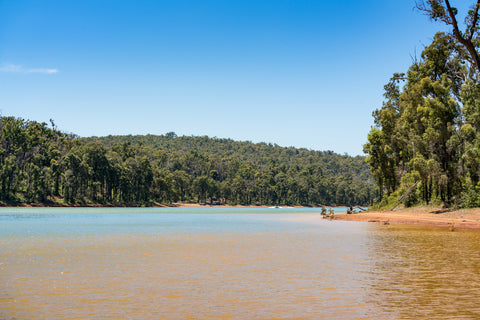 Explore the 4wd tracks around the Waroona Dam.