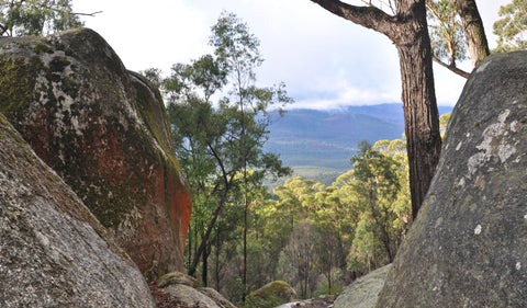 Four Brothers Rock in Bunyip State Park is perfect for hiking, will take around 5 hrs to complete.