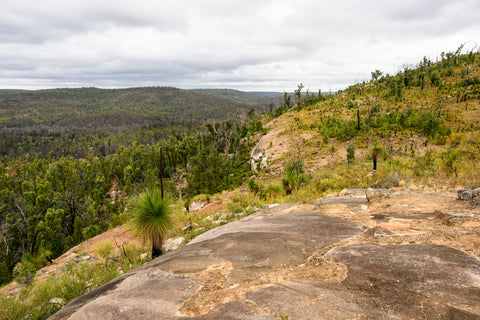 Enjoy hiking and the lookout from the Bibbulmun Track Helena Campsite, Mundaring State Forest. 