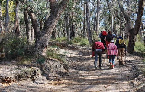 Hikers is exploring the Bunyip State Park