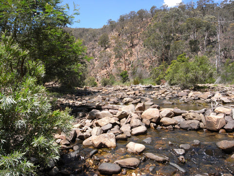 Drive your 4x4  on a rocky Lerderderg River between Bacchus Marsh and Blackwood.