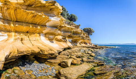 Visit & take a walk at Painted Cliffs, orange yellow colored sand limestone rocks at coast, perfect for adventurers, Maria Island, Tasmania.