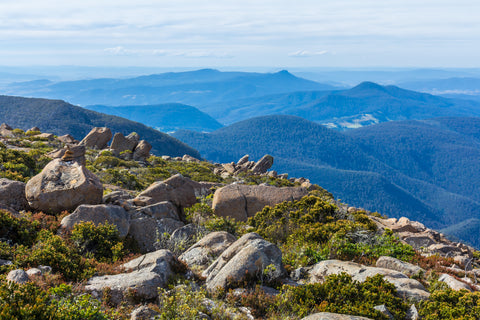 Hiking to the stunning Summit of a rocky Mount Wellington.