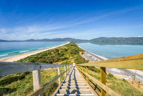Take the 279 timber steps from the top of the Neck Lookout at Bruny Island and camp at the Neck Reserve. 
