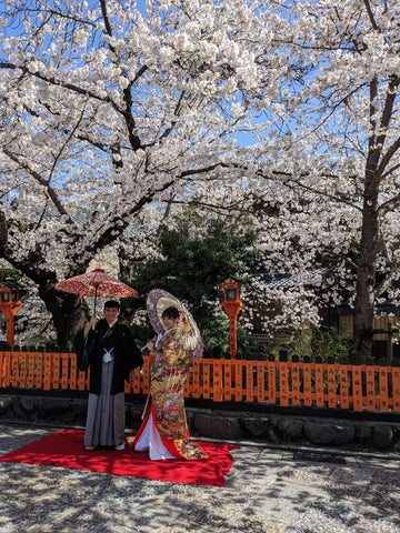 Kyoto traditional clothing couple cherry blossom