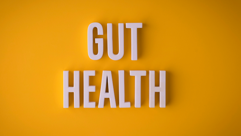 role of gut health and bloating