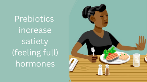 prebiotics hunger hormones