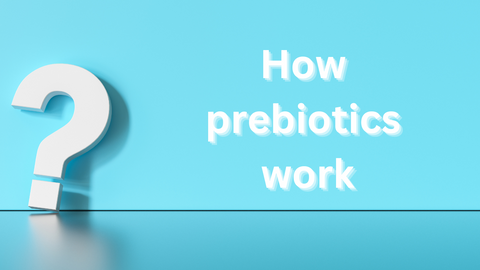 how do prebiotics work