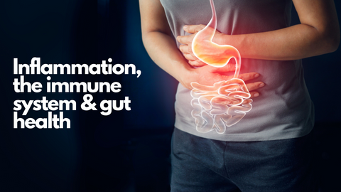 inflammation, immune system & gut health