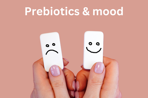 prebiotics and mood