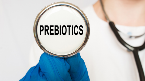 prebiotics skin problems