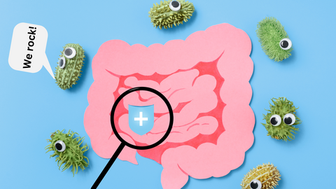 Why does gut health matter? Prebiotics io fibrewater