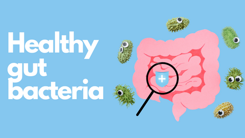 prebiotic fibre healthy gut bacteria