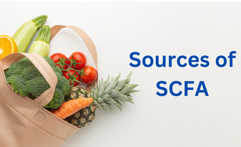 Sources of SCFAs