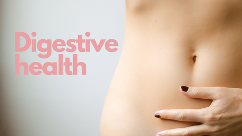 prebiotics digestive health