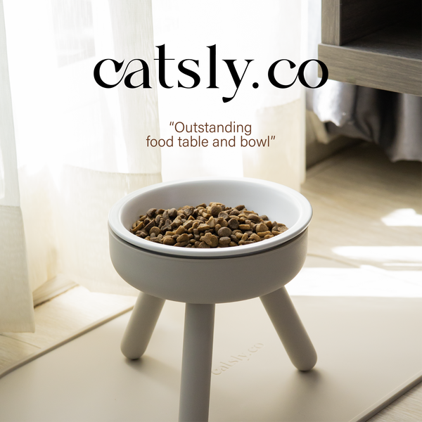 cat feeder table with porcelain bowl set –