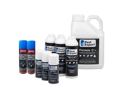 NOPE CP Carpet Beetle Killer Spray (5 L) Fast-acting, Odourless, Repellent  and Disinfectant Carpet Beetle Spray. HSE Approved