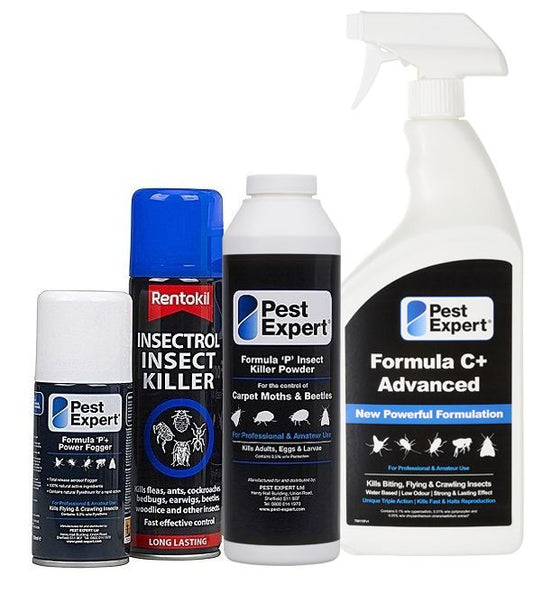 NOPE CP Carpet Beetle Killer Spray (500ml) Fast-acting, Odourless, Repellent  and Disinfectant Carpet Beetle Spray. HSE Approved