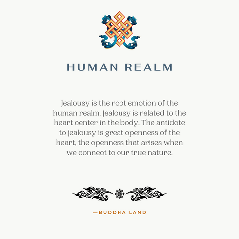 samsara 6 realms of existence buddha buddhism buddhaland human realm