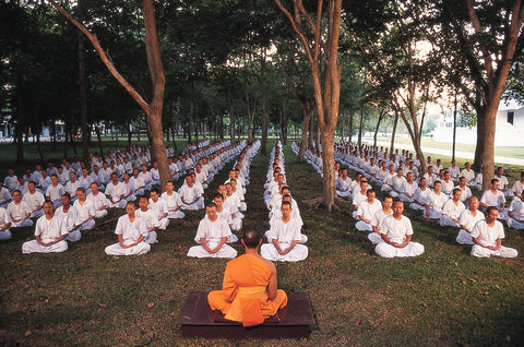 Vipasanna Meditation with a Buddhist teacher in a forest with a big group of people